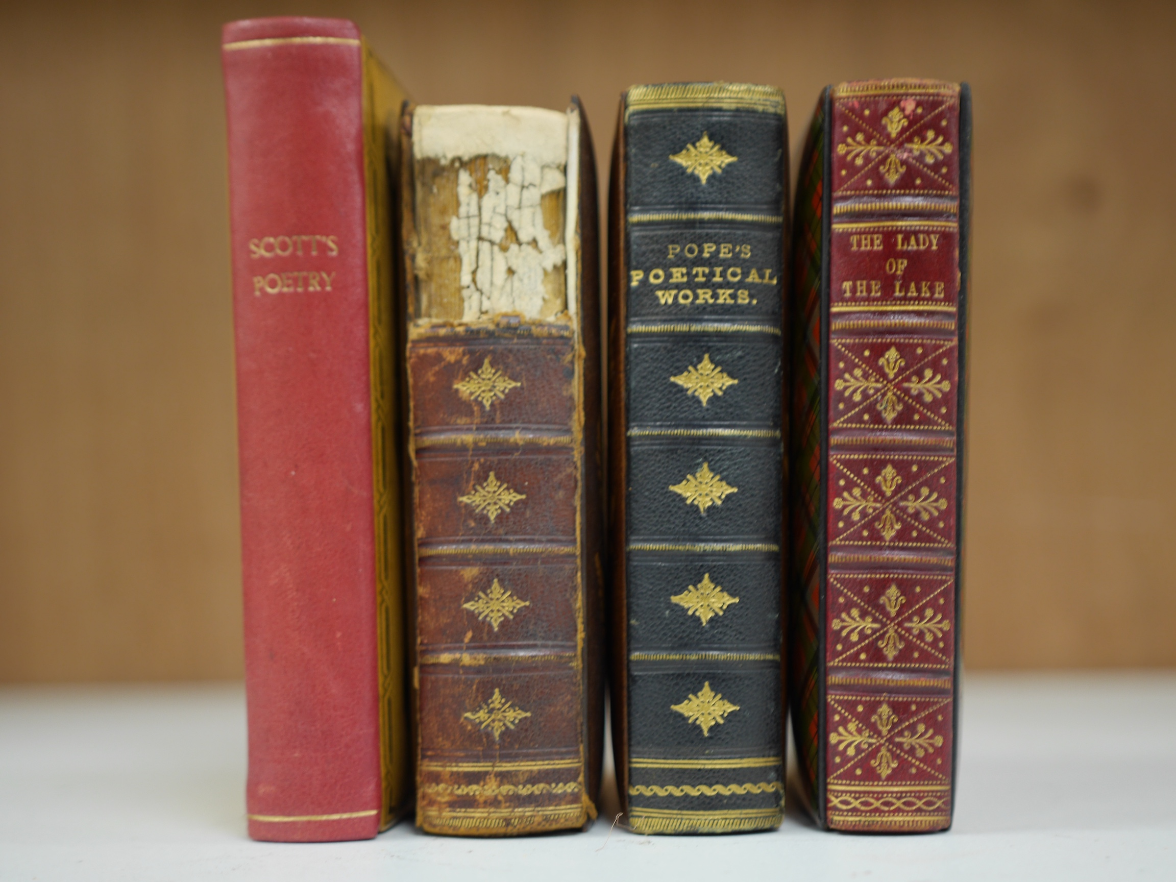 Four Victorian Novelty Bindings; The Poetical Works of Sir Walter Scott in Mauchlineware with vignettes of Rothesay and Pope's Poetical Works in Fernware boards with applied portrait; Scott, Walter - The Lady of the Lake